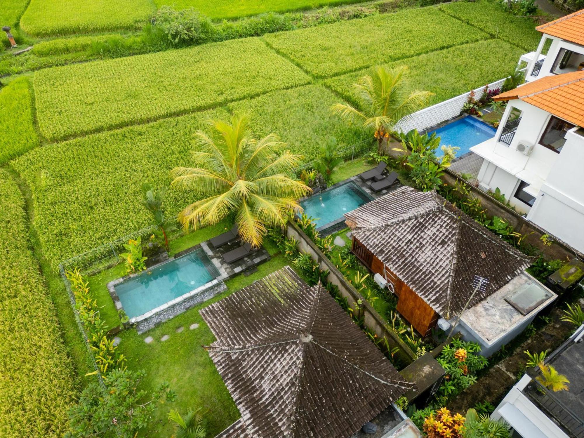 Mardika Private Villa 乌布 外观 照片
